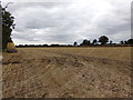 TM3568 : Field off Rendham Road by Geographer