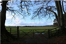 NS5320 : Farmland at Dumfries House Estate by Billy McCrorie