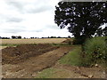 TM3568 : Fields off Rendham Road by Geographer