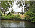 The racecourse from the river