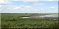 TL5495 : Wetland lagoons, WWT Welney Wetland Centre by David Smith