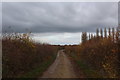 Track leading towards Woodhouse Farm