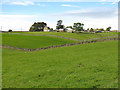 Farmland east of Low Ling Riggs