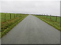 Fenced minor road near Bwlch-y-mawn