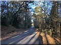 Approaching the A272