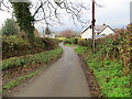 Hedged minor road at Aberloyw Mawr