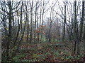 Woodland off the A660 roundabout