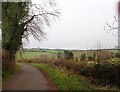 Drumlins WSW of the Ballydonety Road