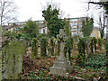 An ivied churchyard