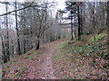 Llwybr ger Cwm coed-oeron / Path near Cwm coed-oeron