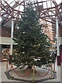 Christmas tree in the Victoria Shopping Centre