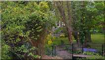 TL4557 : Gardens along Trumpington Road by Christopher Hilton