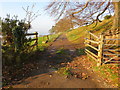 Track and footpath to Rhiw-las