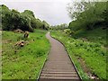 SP5405 : Raised walkway in Lye Valley by Steve Daniels