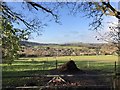 Fields near Findon