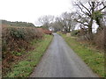 Hedge and tree-lined minor road heading towards Bwlch