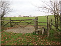 Llwybr ger Ffarm y Cefn / Path near Cefn Farm