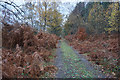 Path at Wrawby Moor