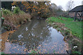 Pond at Keepers Cottage, Wrawby Moor