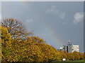 Autumn rainbow on Winns Common