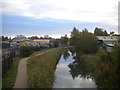 Birmingham Main Line Canal, Ettingshall (1)