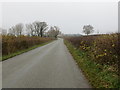 Hedged minor road approaching Parc-y-caeau-mawr