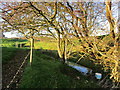 Minor tributary of the Esk at Kirkandrews