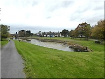 N3059 : Canal Basin at Ballynacarrigy by Oliver Dixon