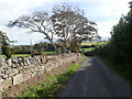 Cavan Road descending eastwards beyond the Drumnascamph Road junction