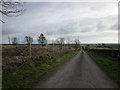 The road to Chapelknowe