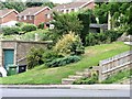 Front garden in Fern Road, Hollington