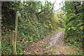 Footpath, Hutcherleigh