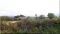 J2333 : Farmsteads on a drumlin east of the Ballynagappoge Road by Eric Jones