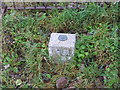 Ordnance Survey Fundamental Bench Mark