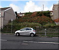 Waste ground above Neath Road, Plasmarl, Swansea