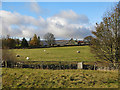 Farmland between Low Rigg and Middle Rigg