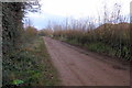 Track and footpath towards Mill House