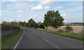 Estate wall by A607 north of Caythorpe