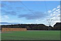 Farmland near Haughton with pylon