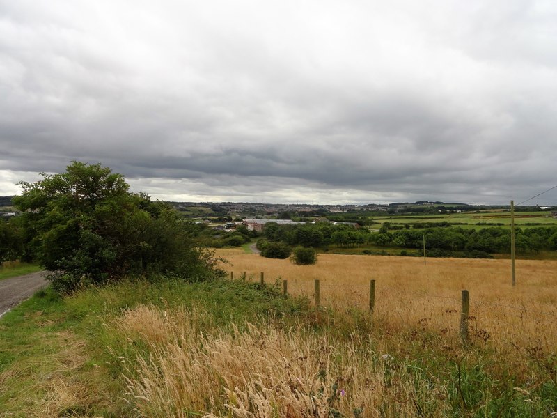 View south over old common land near... © Robert Graham :: Geograph ...