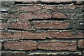 Horizontally bedded limestone in a wall in High Street, Boston Spa