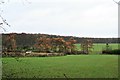 Towards Moor End Farm and Gunter Wood from A659, Boston Spa