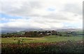 Drumlin landscape south of the Islandmoyle Road