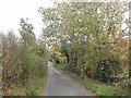 Tree-lined section of Bannfield Road