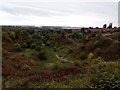 Cockster Brook Nature Reserve