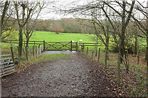 ST1137 : Gate into sheep pasture, Quarkhill by Derek Harper