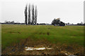 Farmland near Buckingham