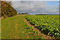 SU4738 : Field edge to the horizon, Wonston Manor Farm by David Martin