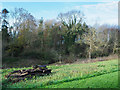 Woodpile beside access road for Corbridge Mill