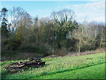 NY9764 : Woodpile beside access road for Corbridge Mill by Trevor Littlewood